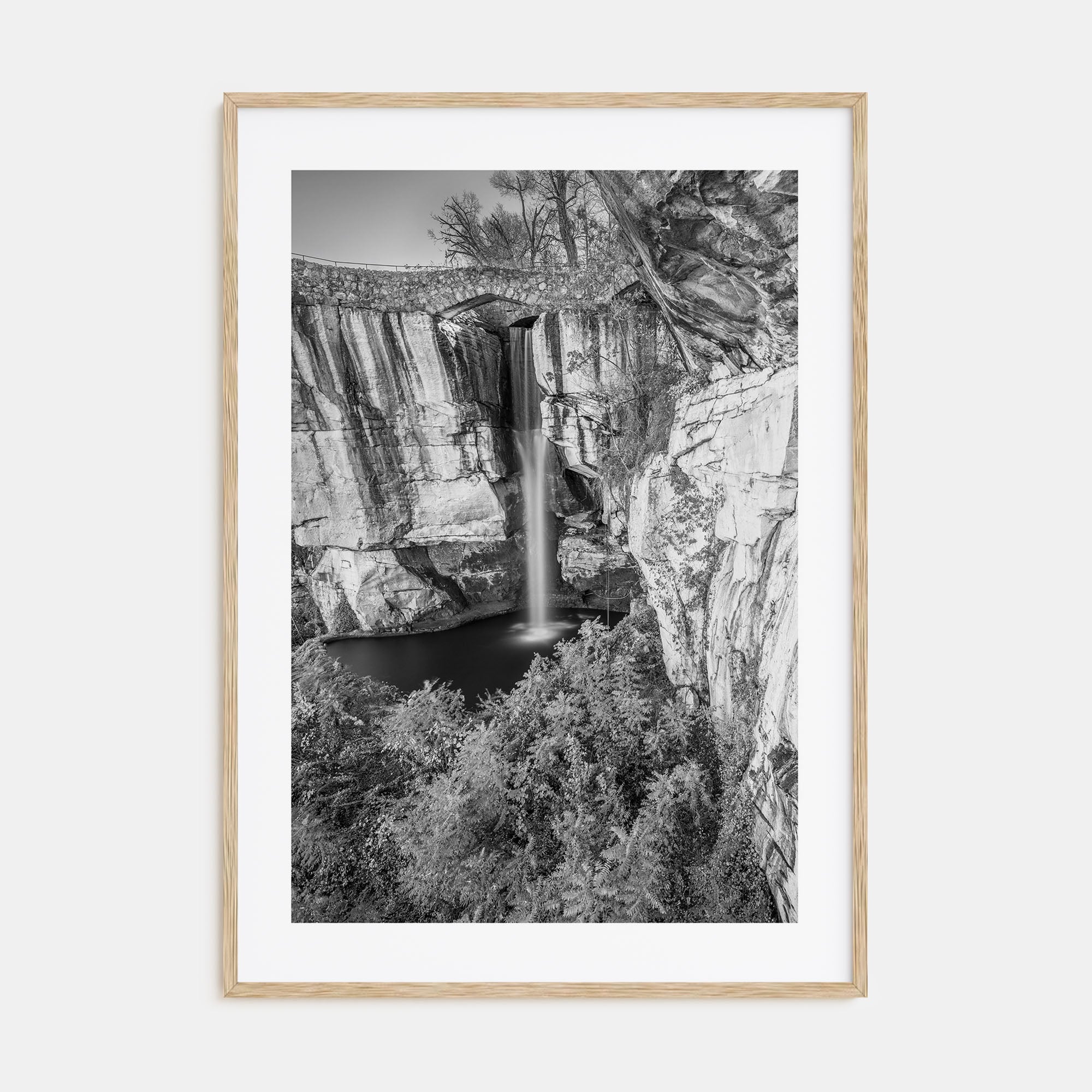 Georgia, United States Photo B&W Poster