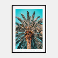 Giant Palm Tree Photo Color Poster