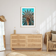 Giant Palm Tree Photo Color Poster