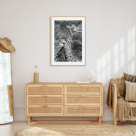 Giraffe Photo B&W No 2 Poster