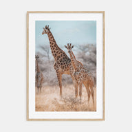 Giraffe Photo Color No 1 Poster