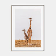 Giraffe Photo Color No 2 Poster