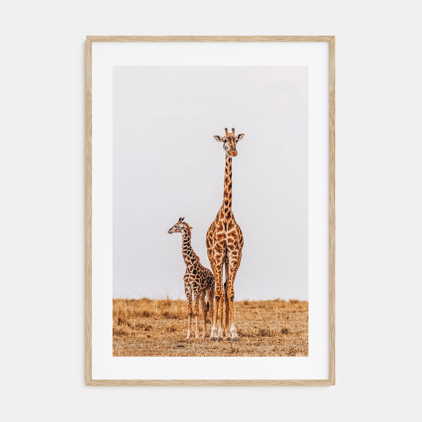 Giraffe Photo Color No 2 Poster
