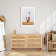 Giraffe Photo Color No 2 Poster