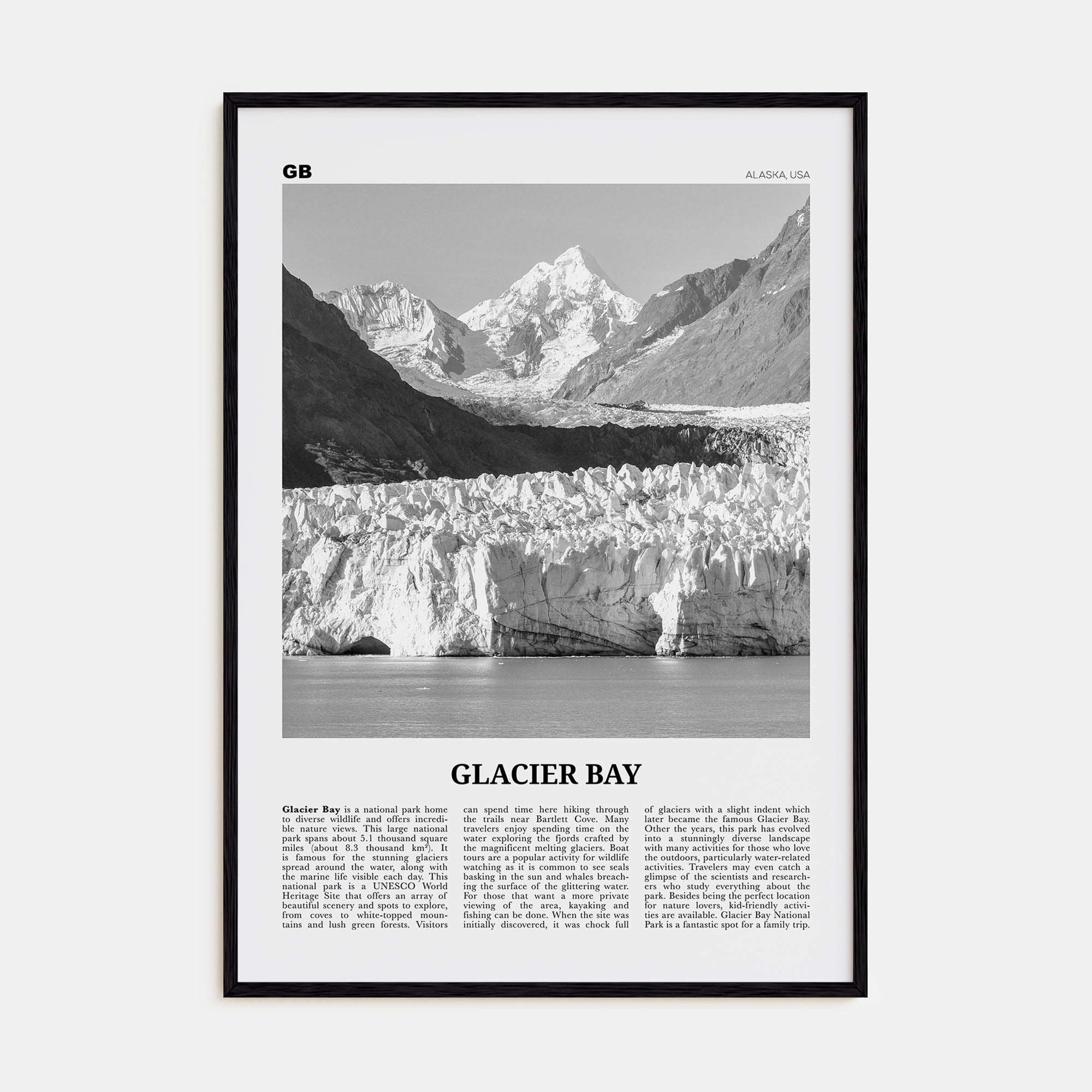Glacier Bay National Park Travel B&W Poster