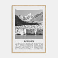Glacier Bay National Park Travel B&W Poster