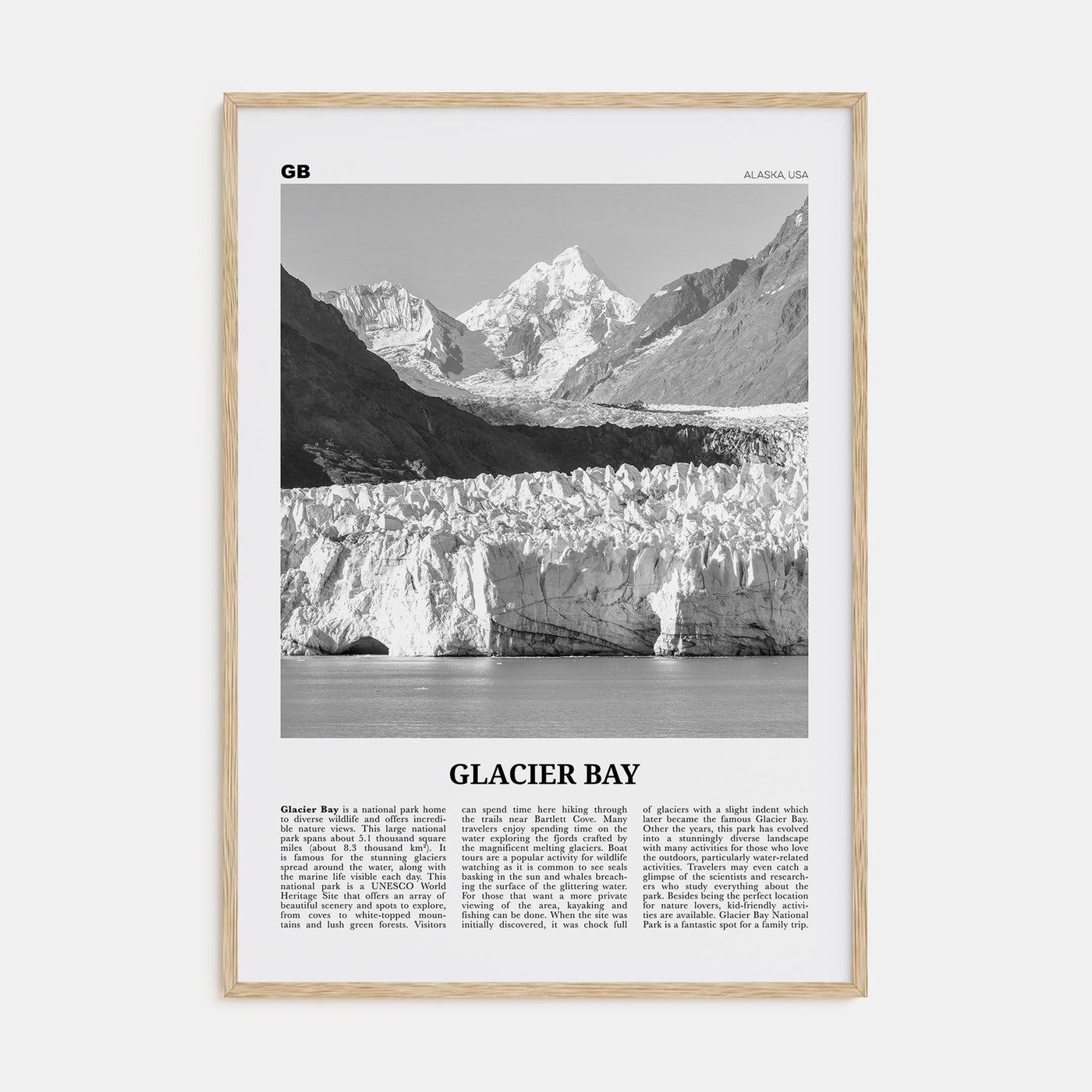 Glacier Bay National Park Travel B&W Poster