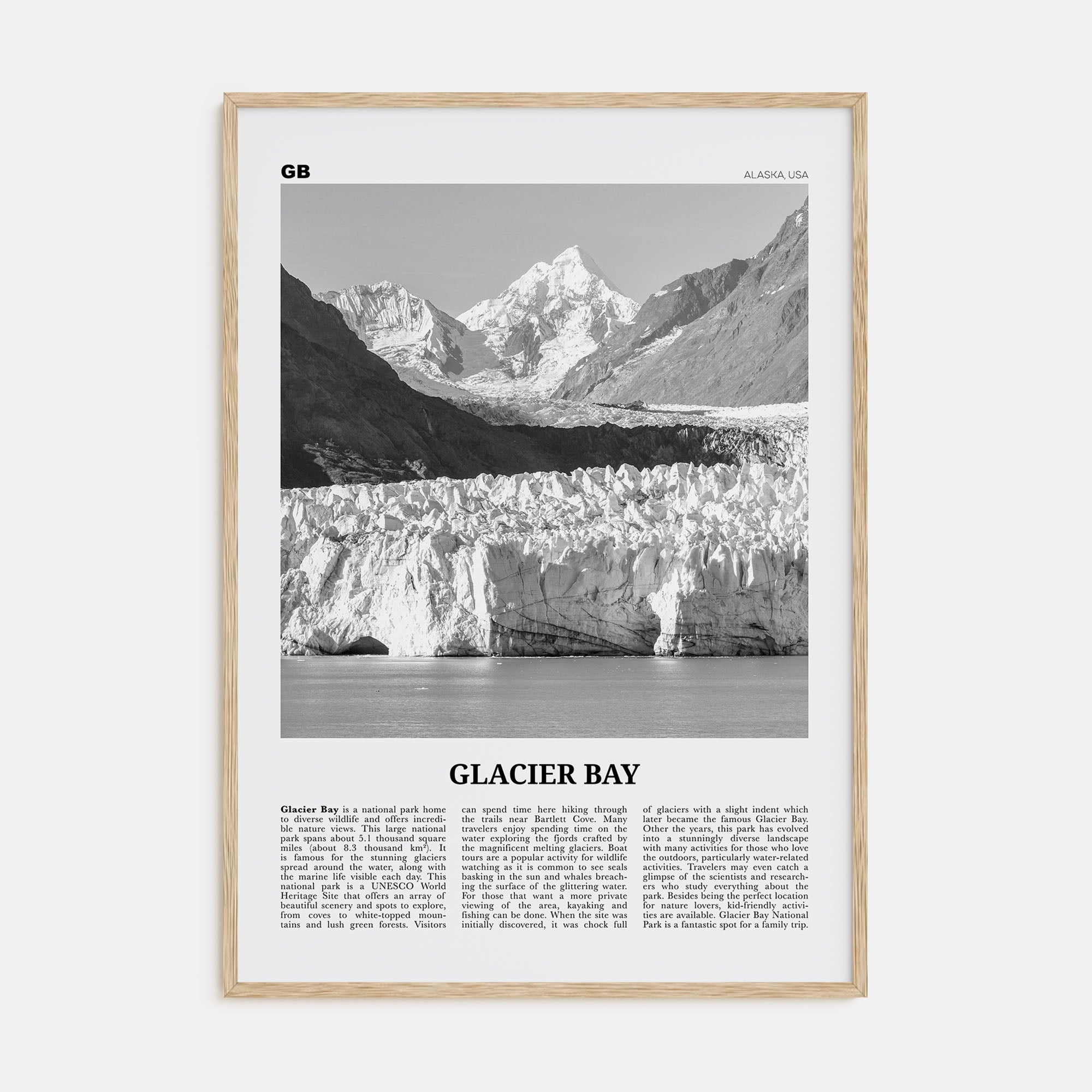 Glacier Bay National Park Travel B&W Poster