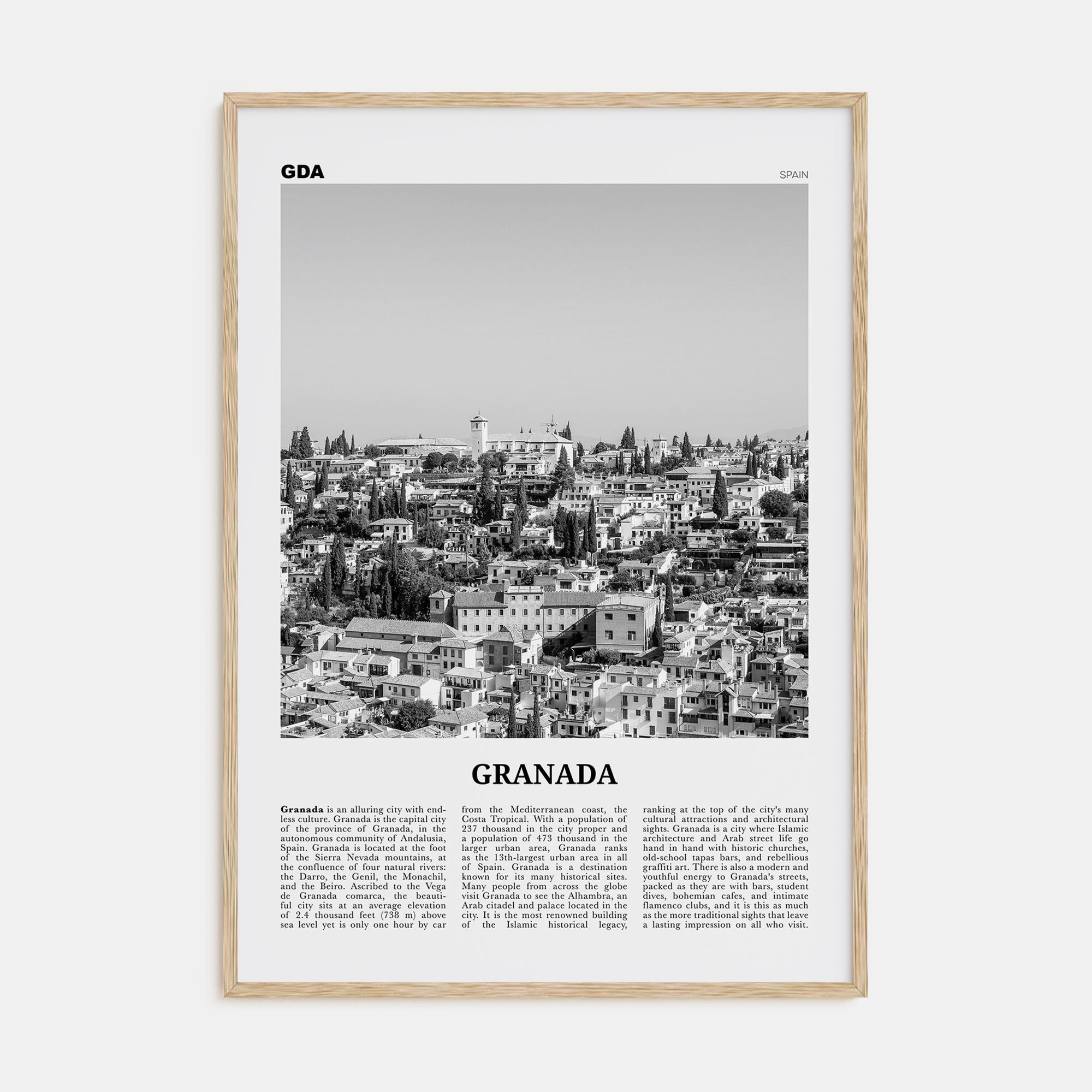 Granada Travel B&W No 1 Poster