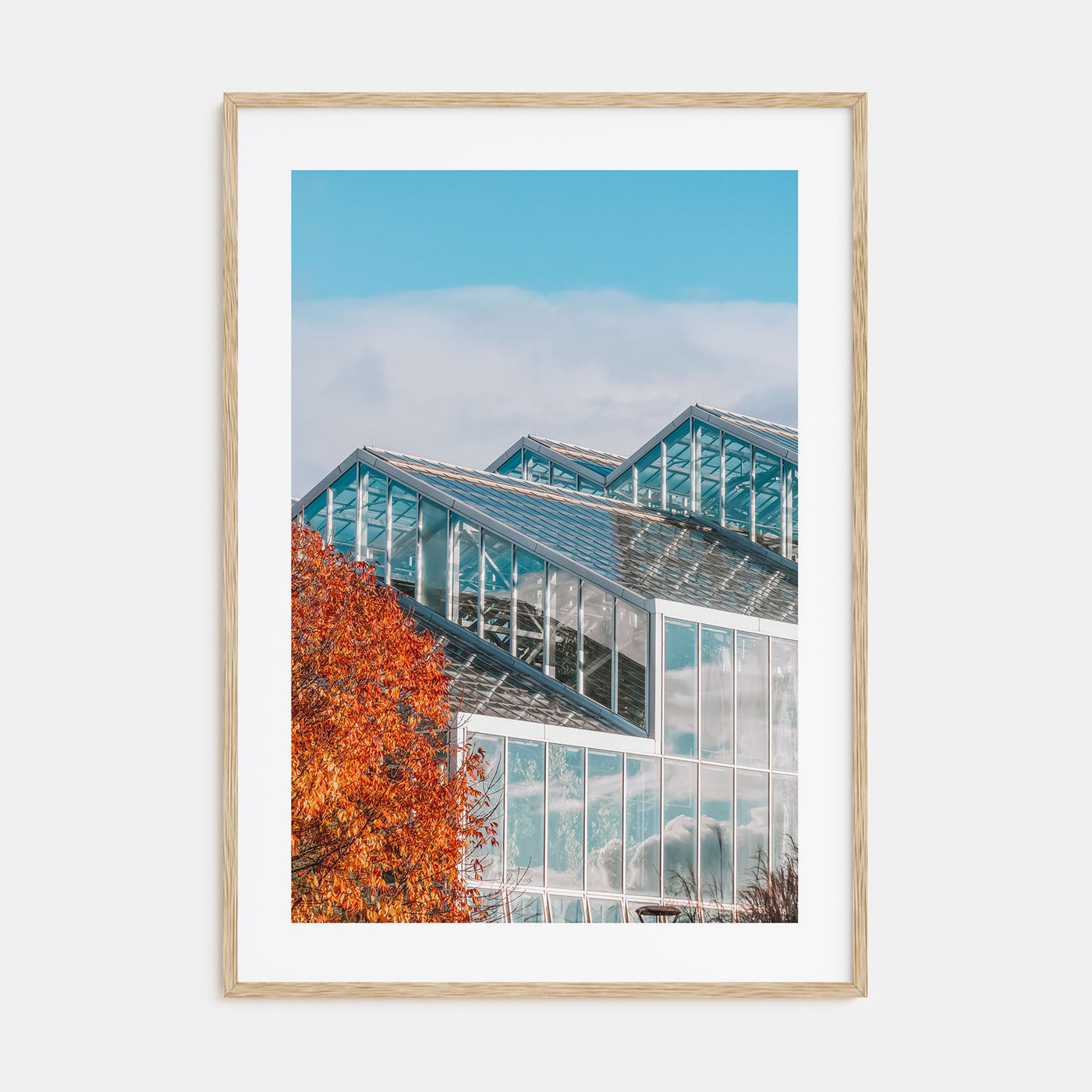 Grand Rapids Photo Color No 3 Poster