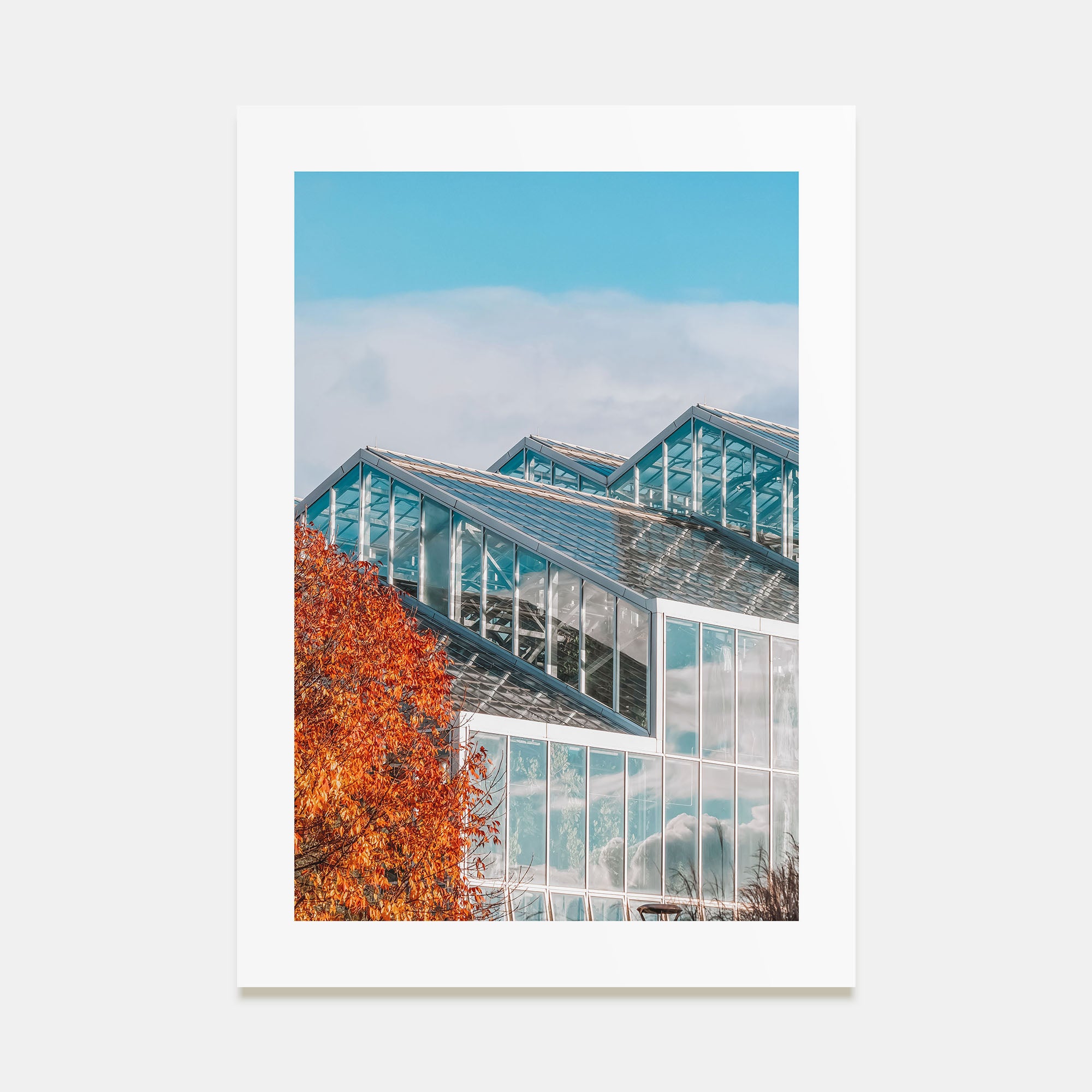 Grand Rapids Photo Color No 3 Poster
