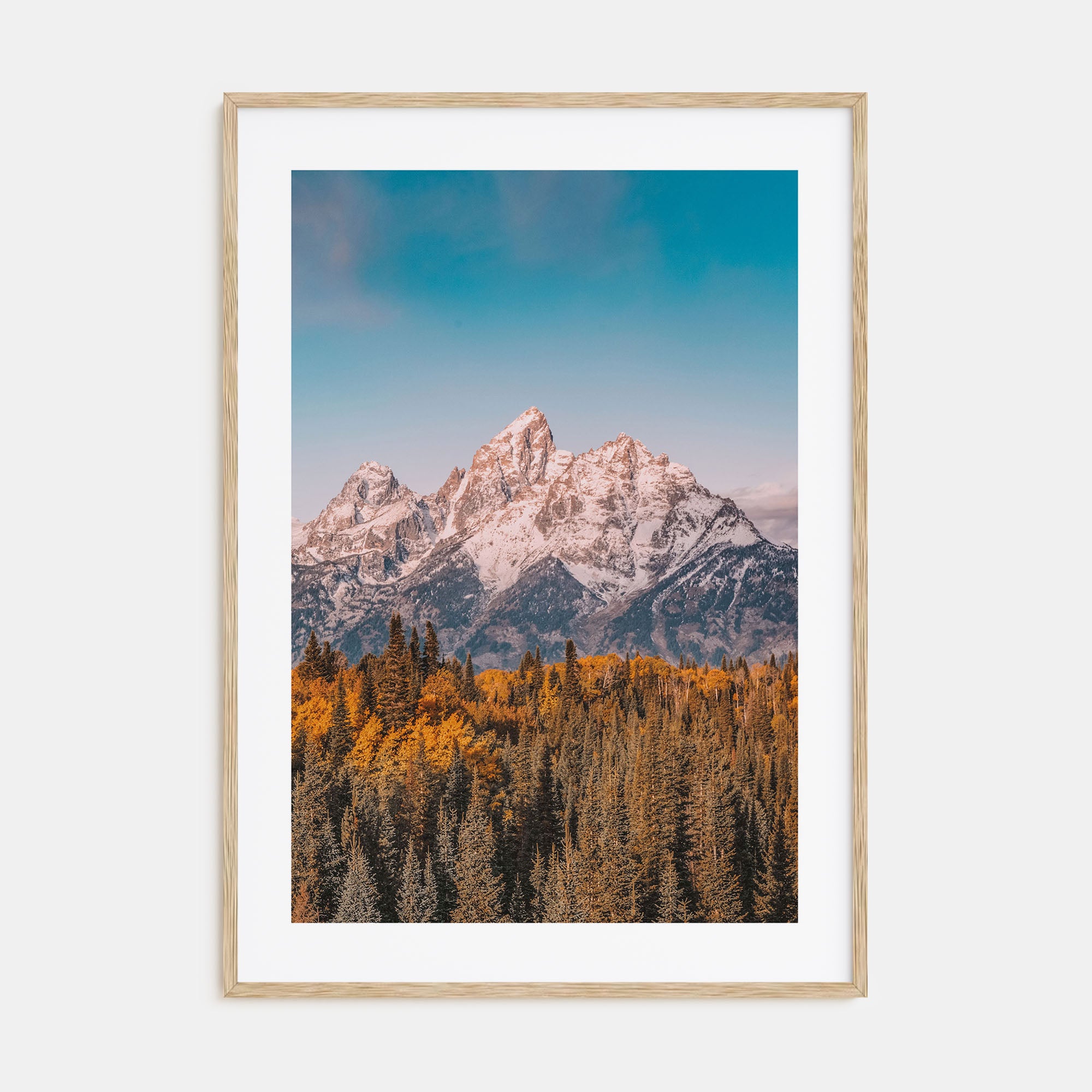 Grand Teton National Park Photo Color No 1 Poster
