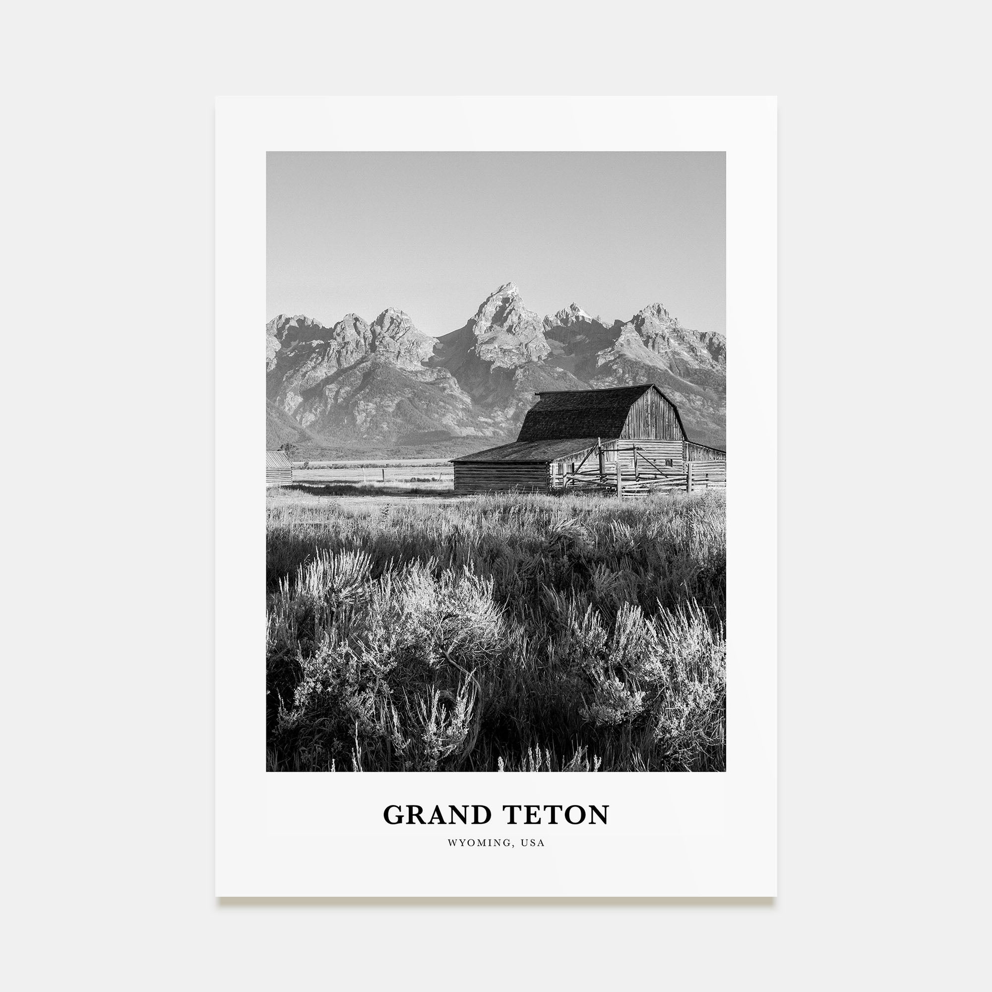 Grand Teton National Park Portrait B&W No 1 Poster