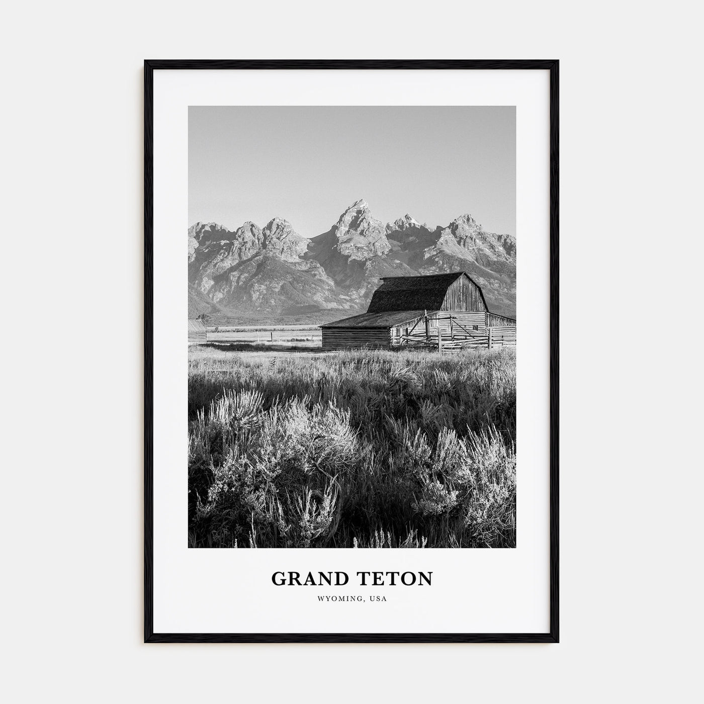 Grand Teton National Park Portrait B&W No 1 Poster