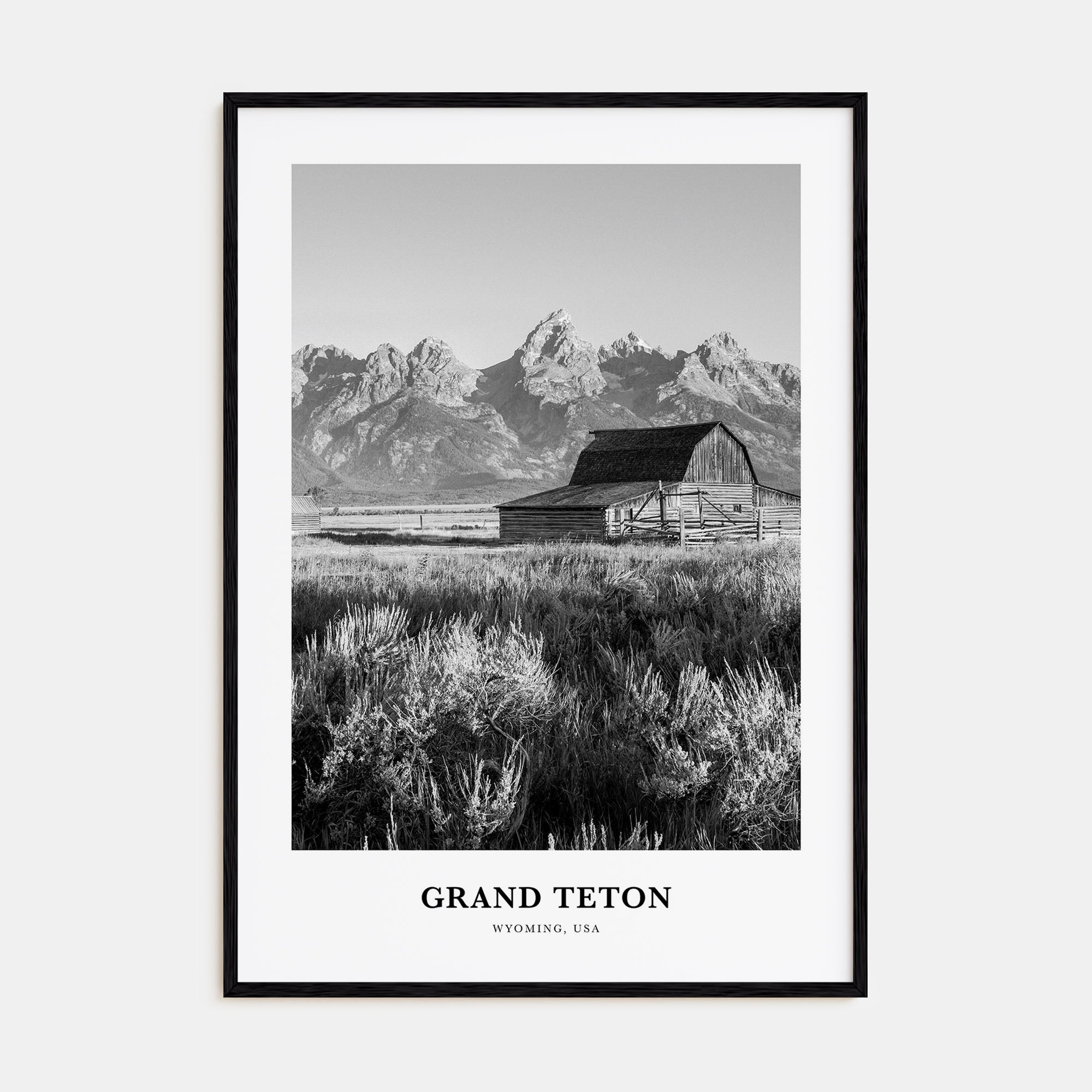 Grand Teton National Park Portrait B&W No 1 Poster