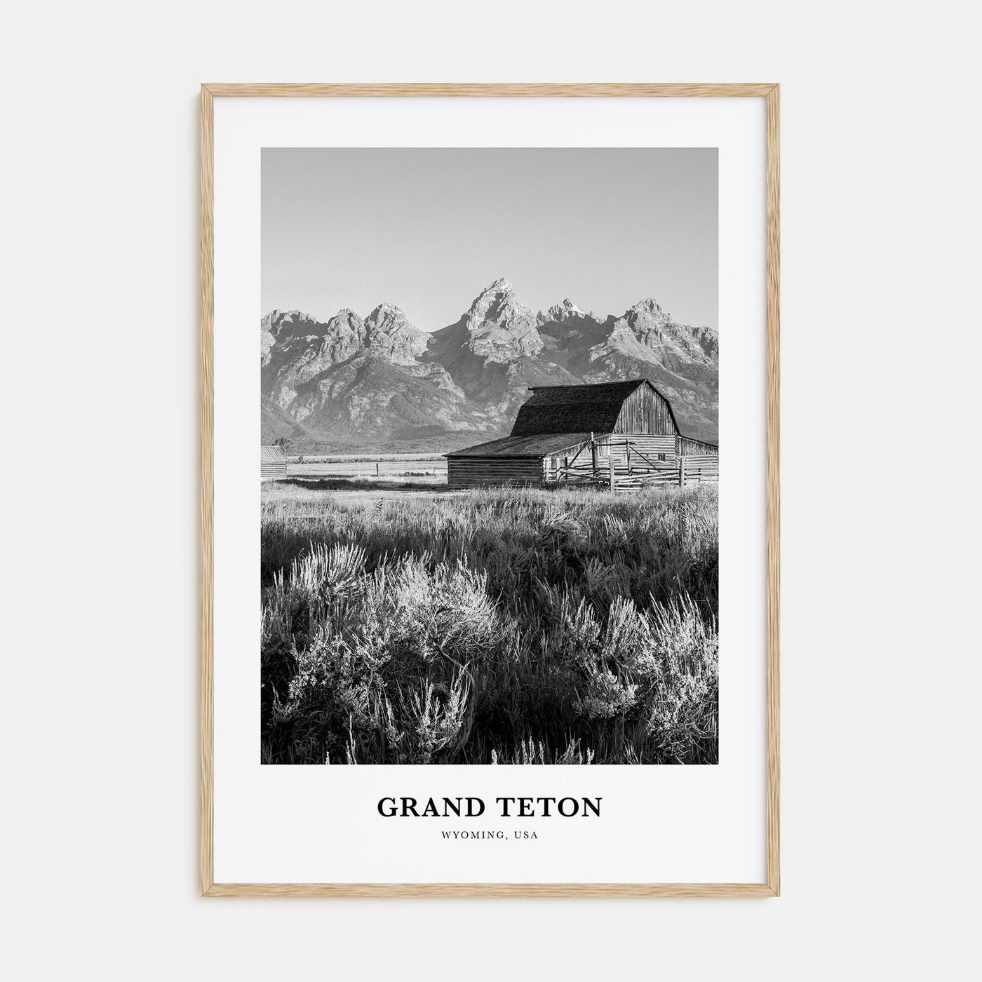 Grand Teton National Park Portrait B&W No 1 Poster