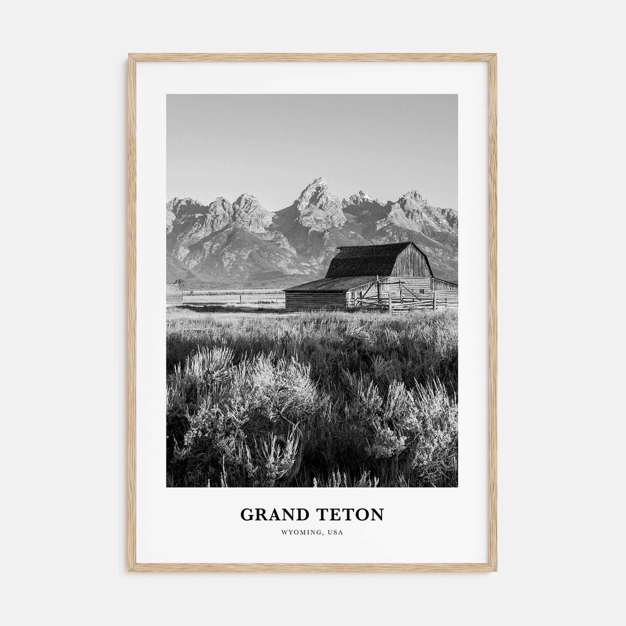Grand Teton National Park Portrait B&W No 1 Poster