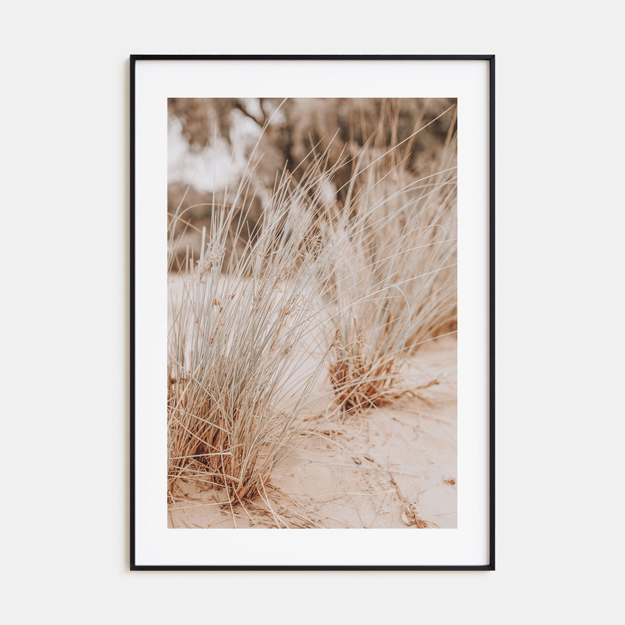 Grass Growing Wild Photo Color Poster