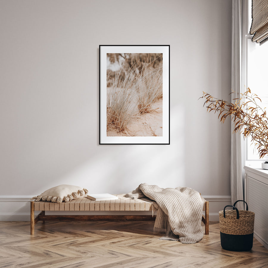 Grass Growing Wild Photo Color Poster