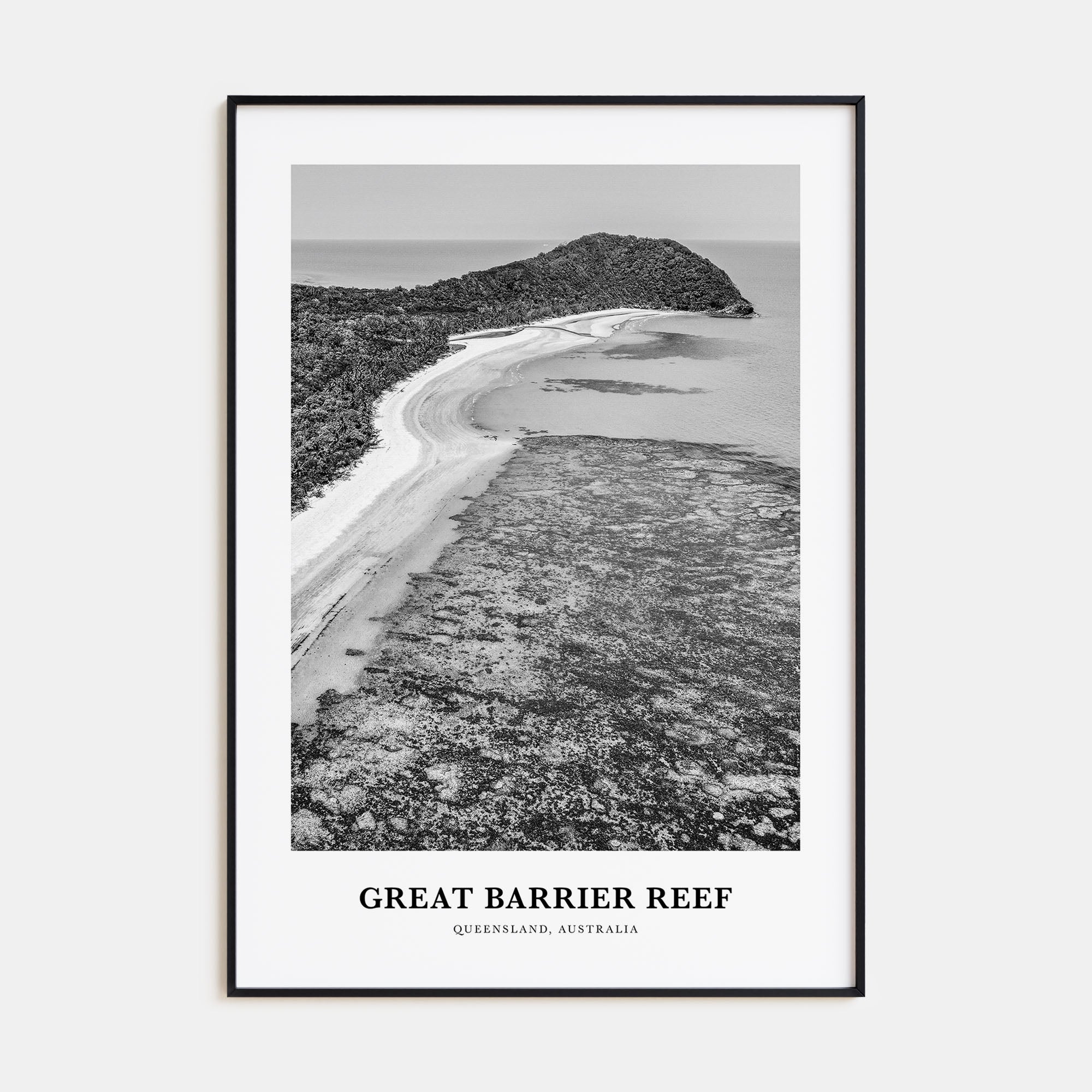 Great Barrier Reef Portrait B&W Poster