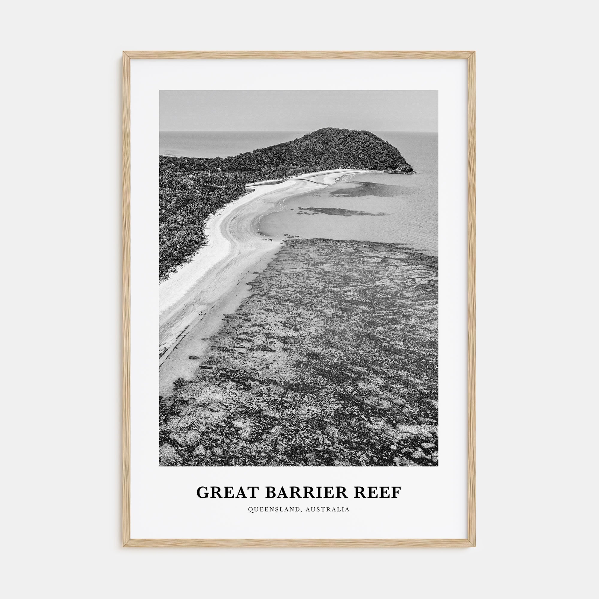 Great Barrier Reef Portrait B&W Poster