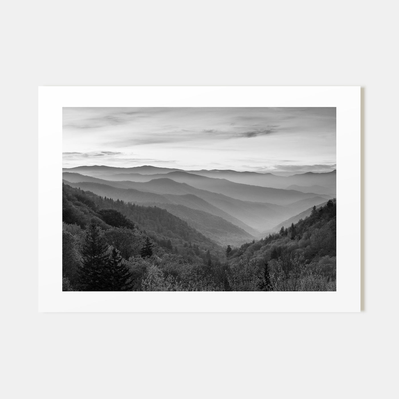 Great Smoky Mountains National Park Landscape B&W No 1 Poster
