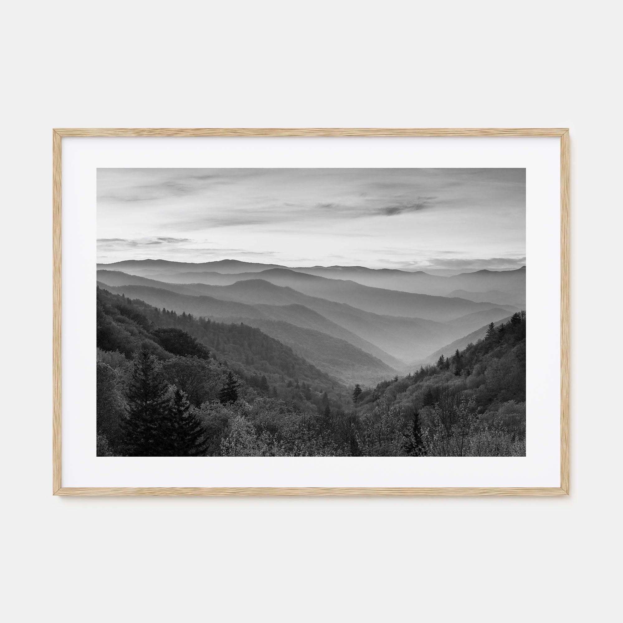 Great Smoky Mountains National Park Landscape B&W No 1 Poster