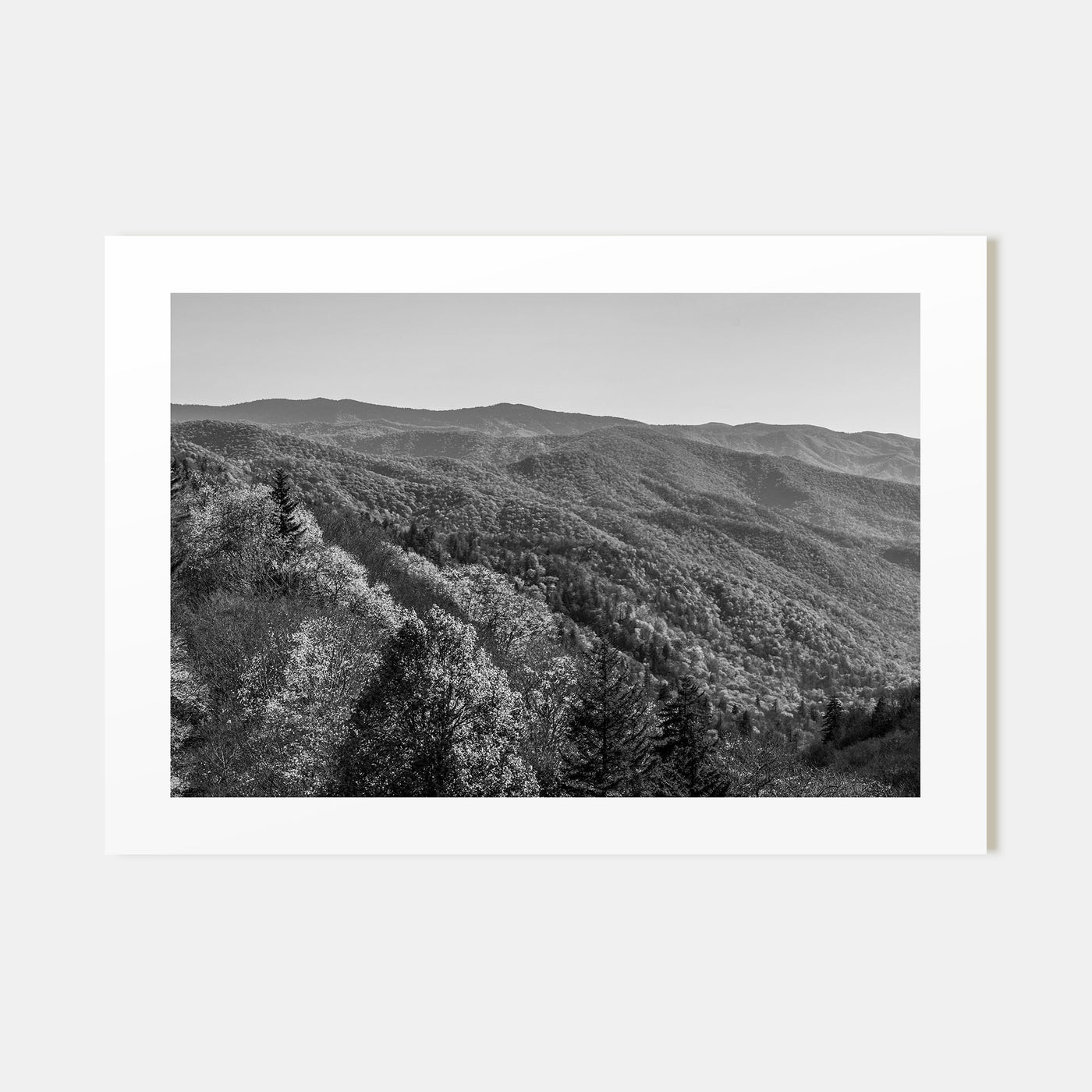 Great Smoky Mountains National Park Landscape B&W No 2 Poster