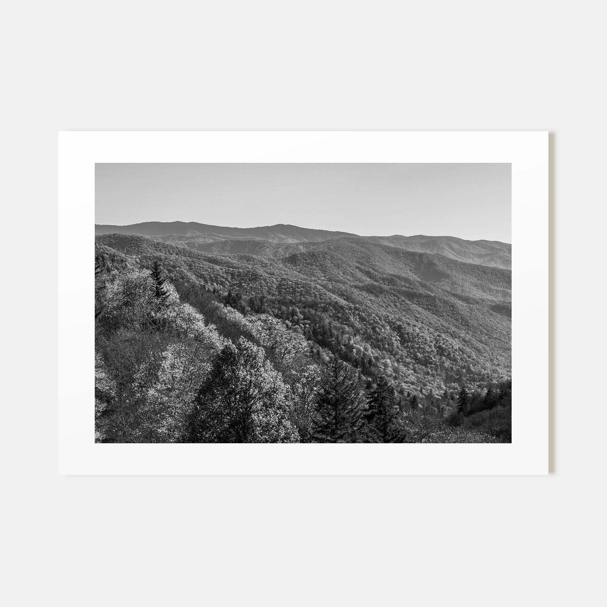 Great Smoky Mountains National Park Landscape B&W No 2 Poster