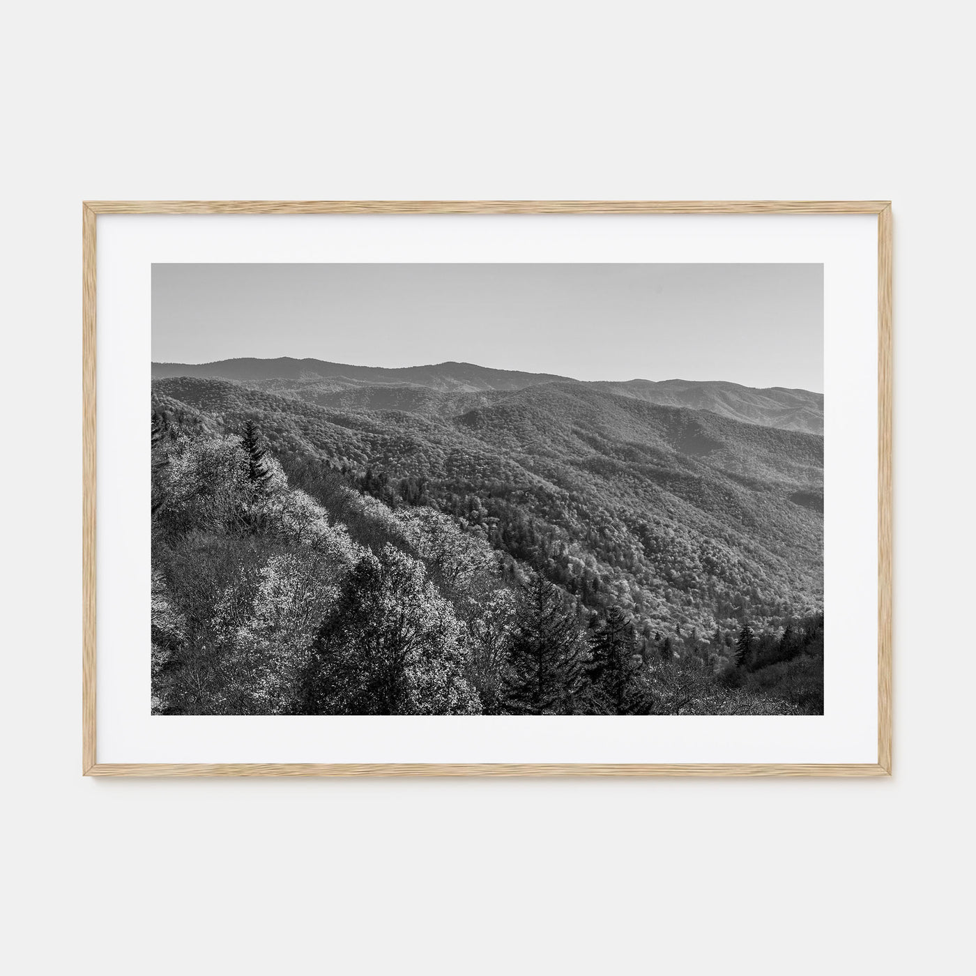 Great Smoky Mountains National Park Landscape B&W No 2 Poster