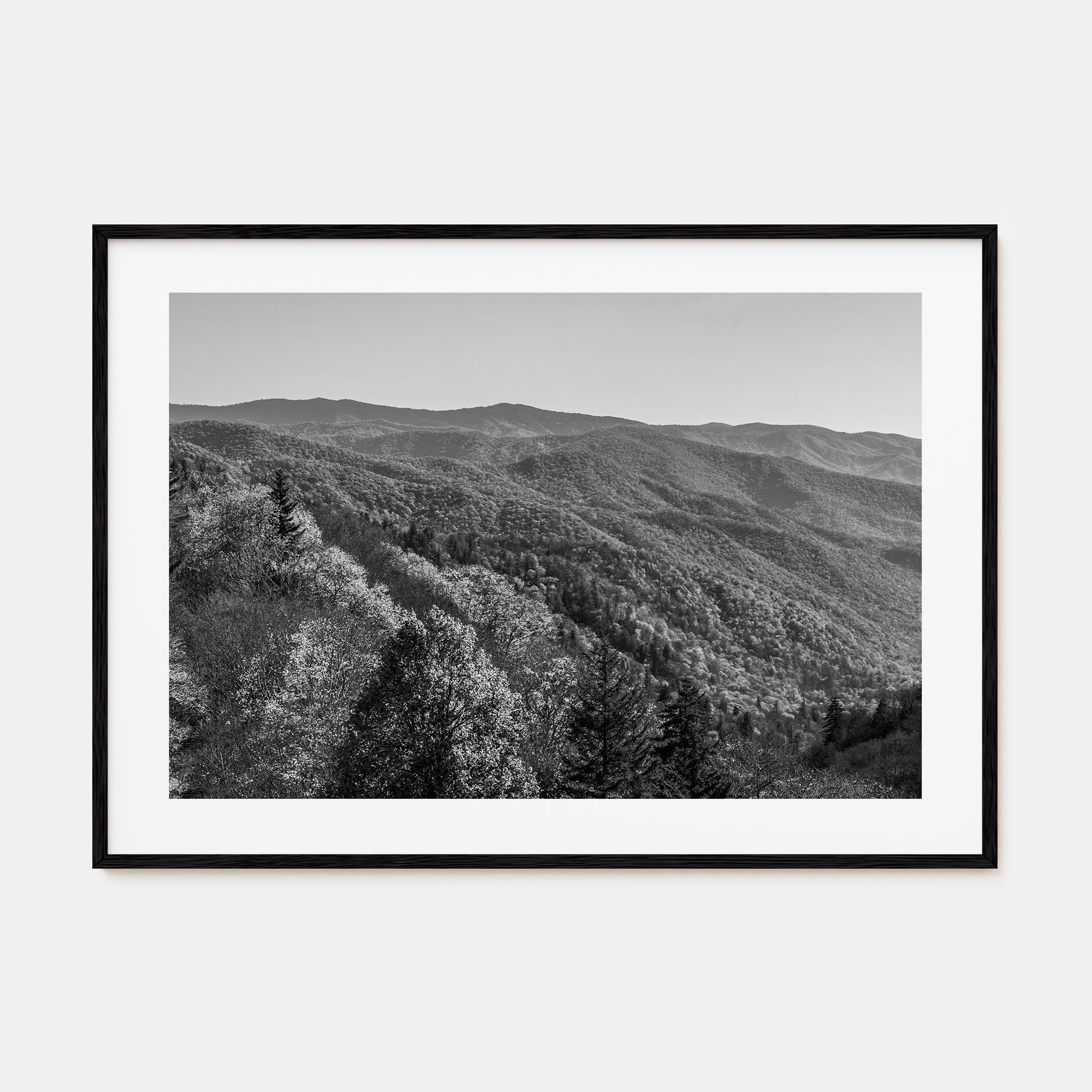 Great Smoky Mountains National Park Landscape B&W No 2 Poster