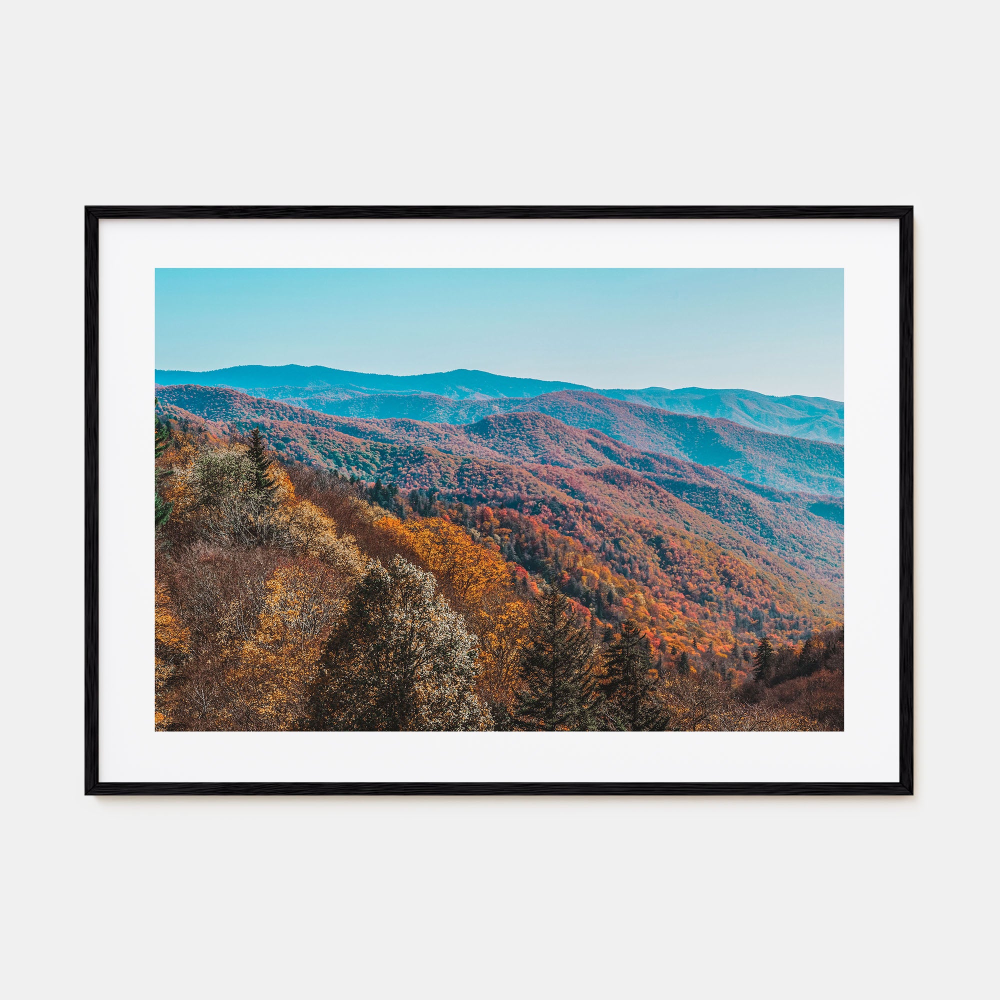 Great Smoky Mountains National Park Landscape Color No 1 Poster