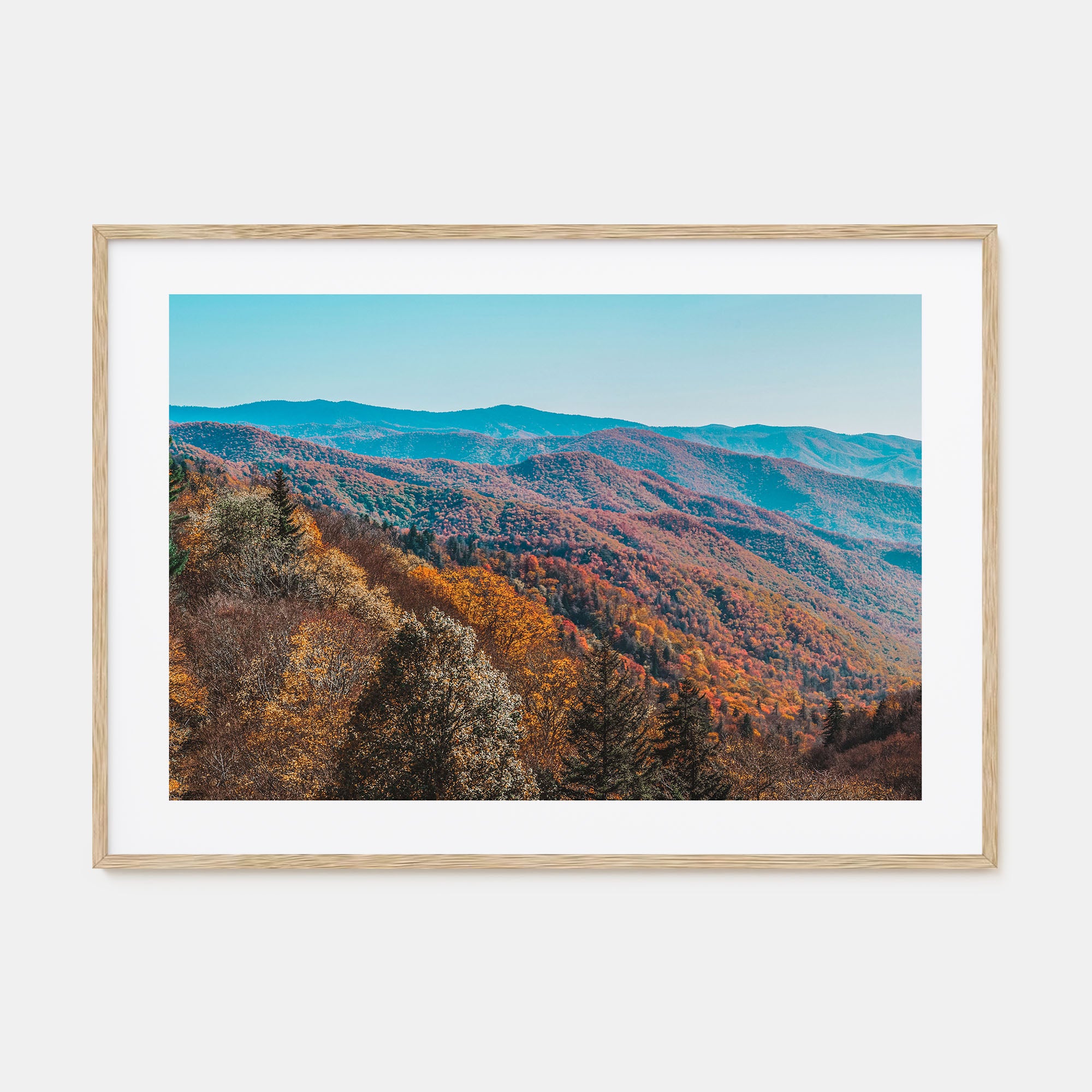 Great Smoky Mountains National Park Landscape Color No 1 Poster