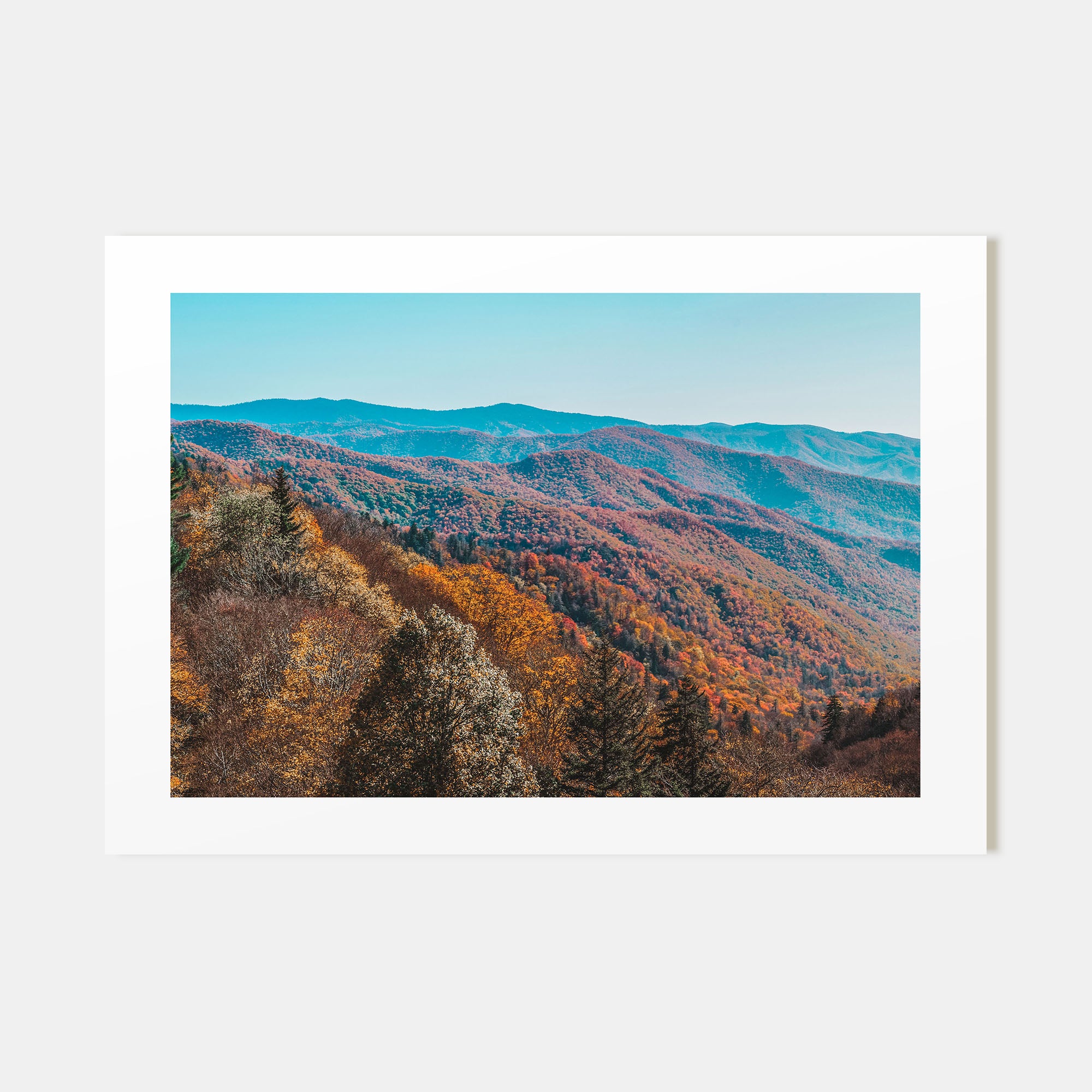 Great Smoky Mountains National Park Landscape Color No 1 Poster