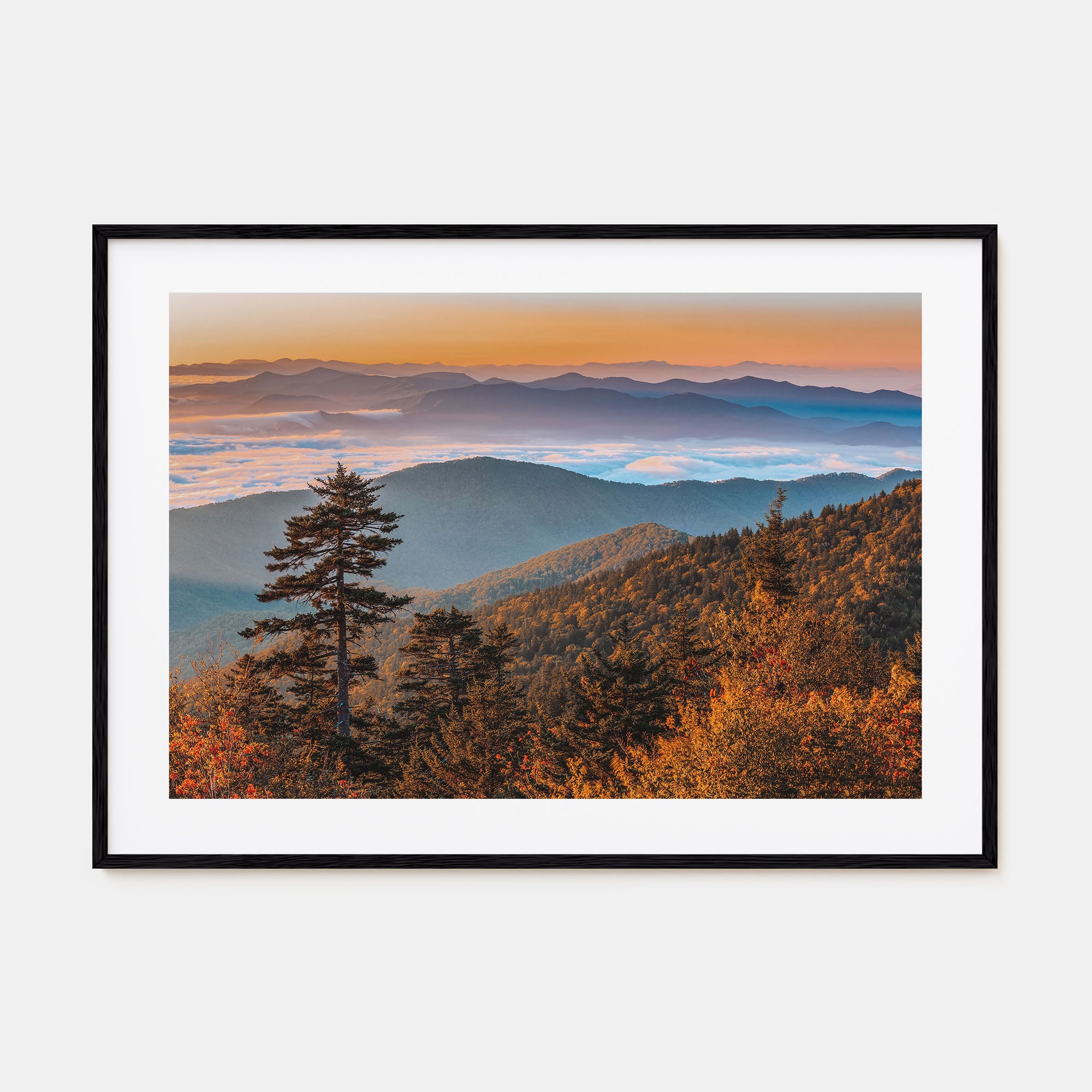 Great Smoky Mountains National Park Landscape Color No 2 Poster
