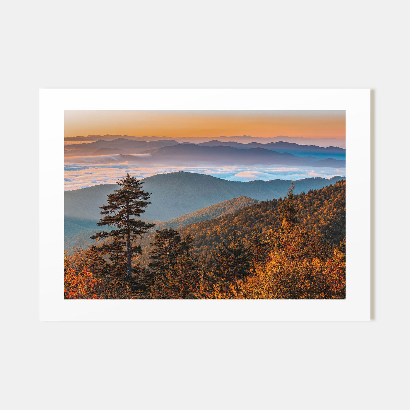 Great Smoky Mountains National Park Landscape Color No 2 Poster
