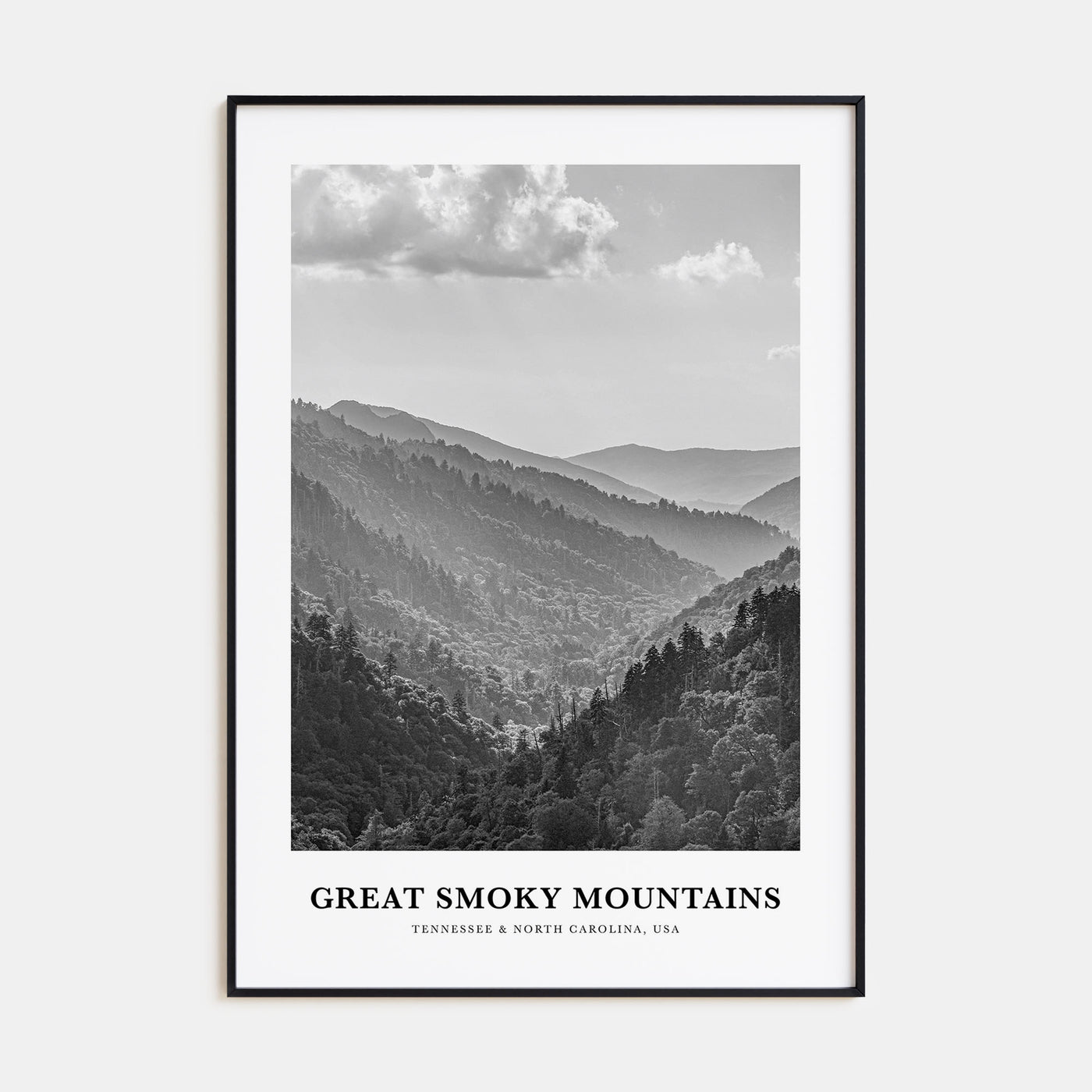 Great Smoky Mountains National Park Portrait B&W Poster