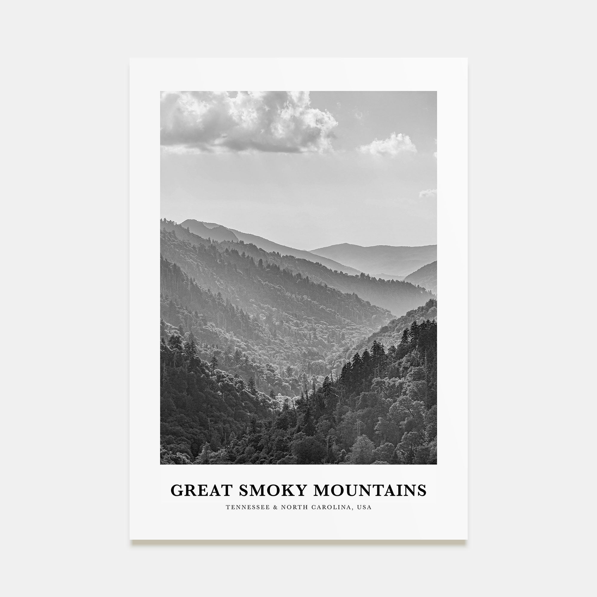 Great Smoky Mountains National Park Portrait B&W Poster