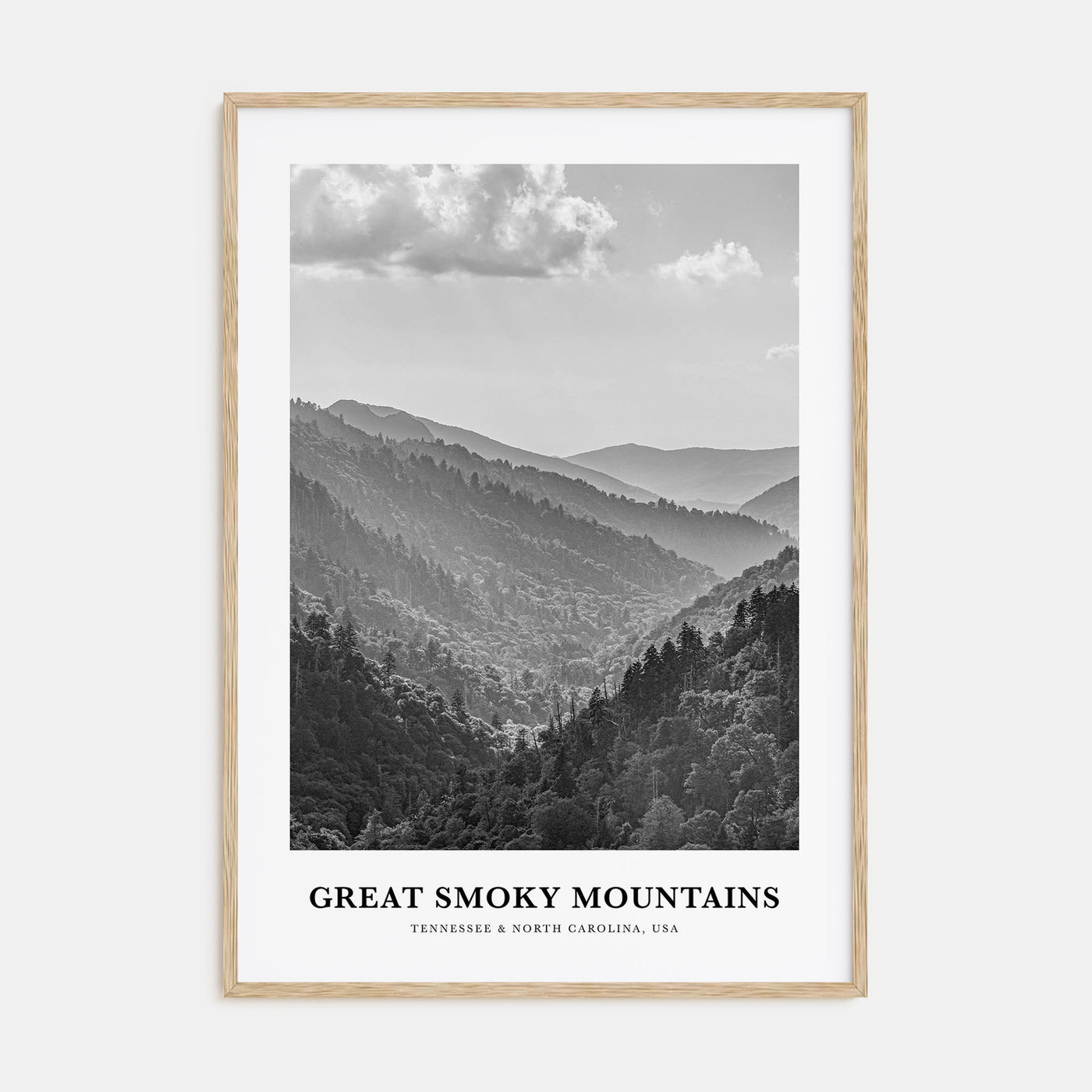 Great Smoky Mountains National Park Portrait B&W Poster