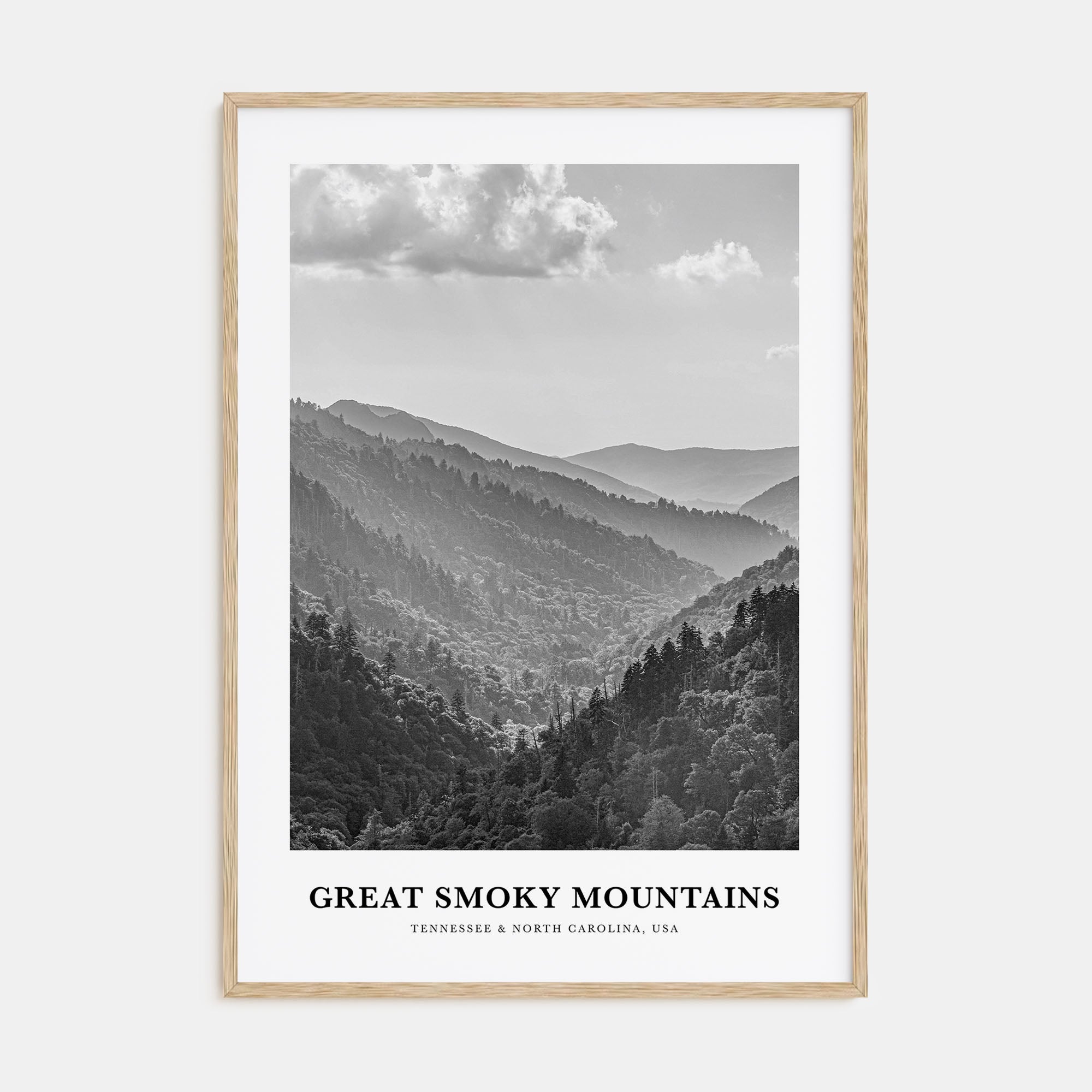 Great Smoky Mountains National Park Portrait B&W Poster
