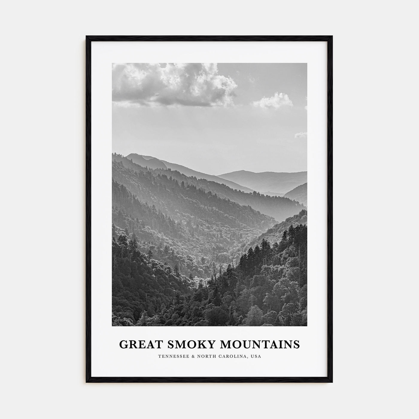 Great Smoky Mountains National Park Portrait B&W Poster