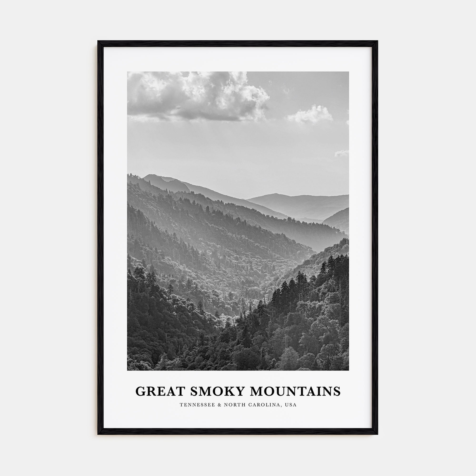 Great Smoky Mountains National Park Portrait B&W Poster