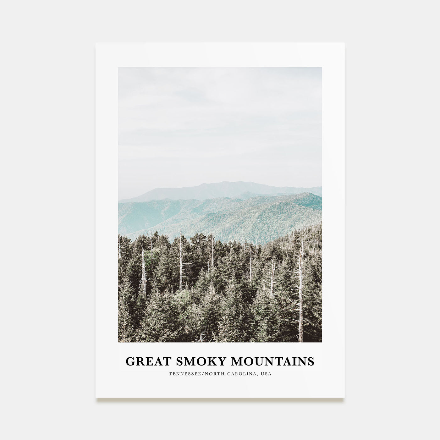 Great Smoky Mountains National Park Portrait Color Poster