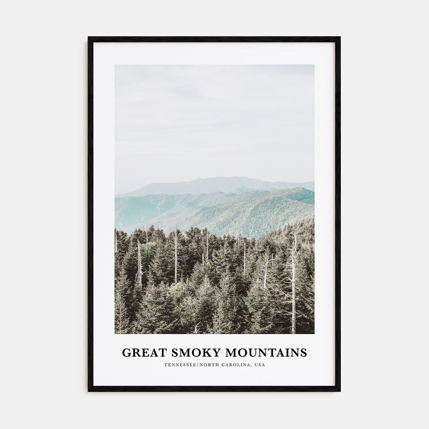Great Smoky Mountains National Park Portrait Color Poster