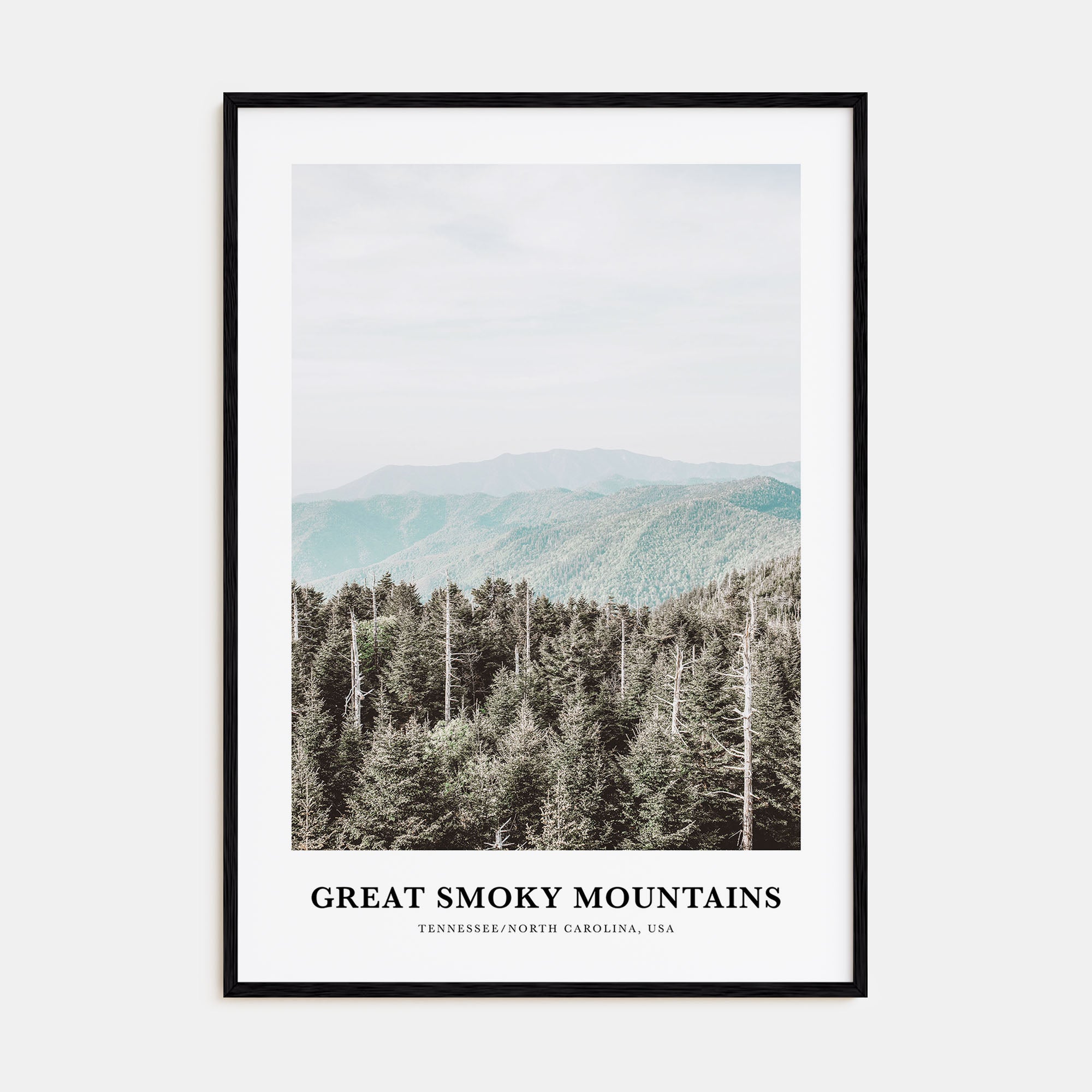 Great Smoky Mountains National Park Portrait Color Poster