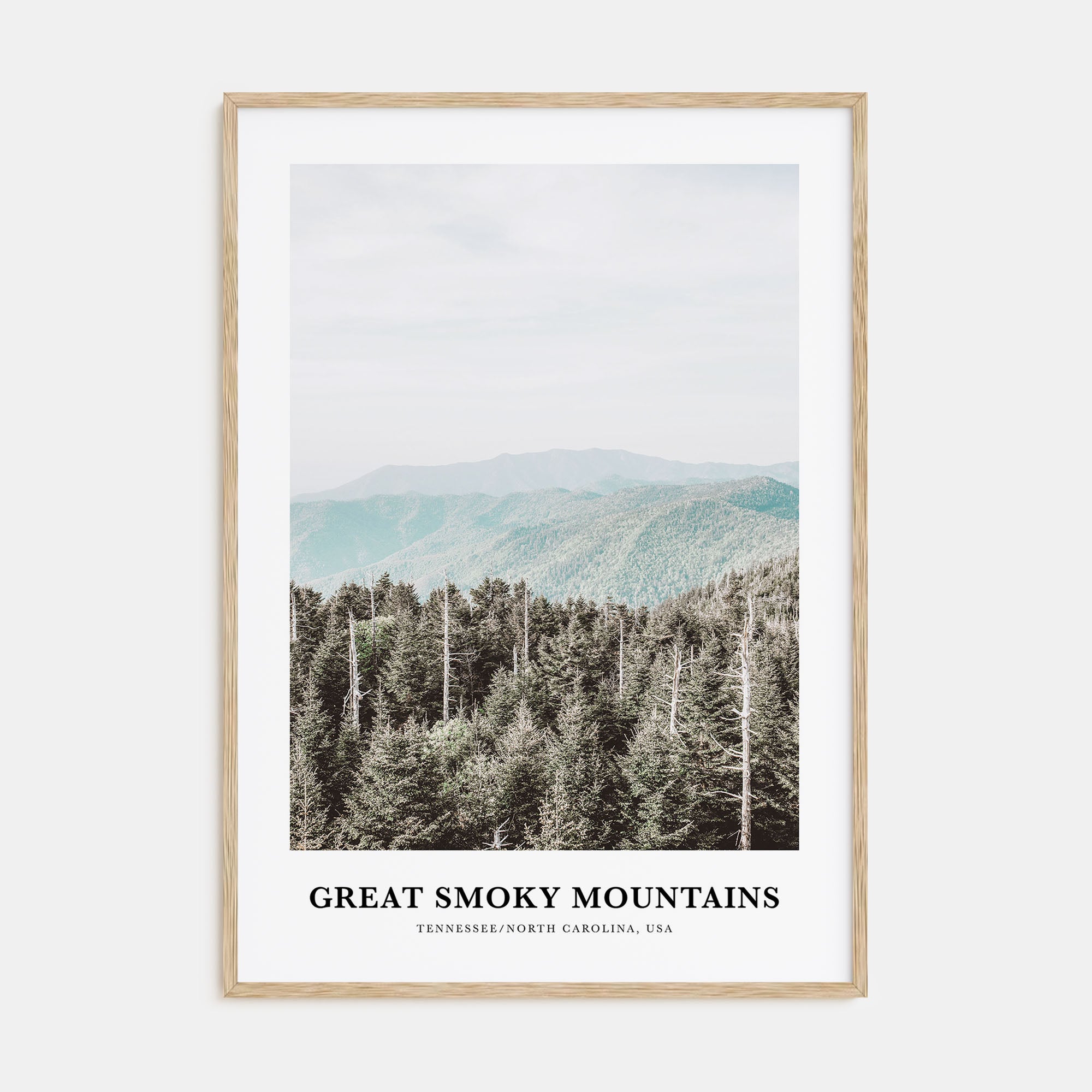 Great Smoky Mountains National Park Portrait Color Poster