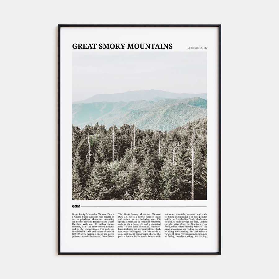 Great Smoky Mountains National Park Travel Color Poster