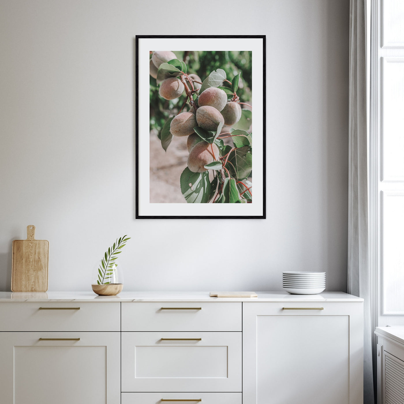 Green Apricots Tree Photo Color Poster