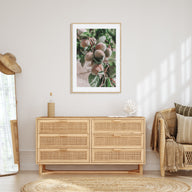 Green Apricots Tree Photo Color Poster