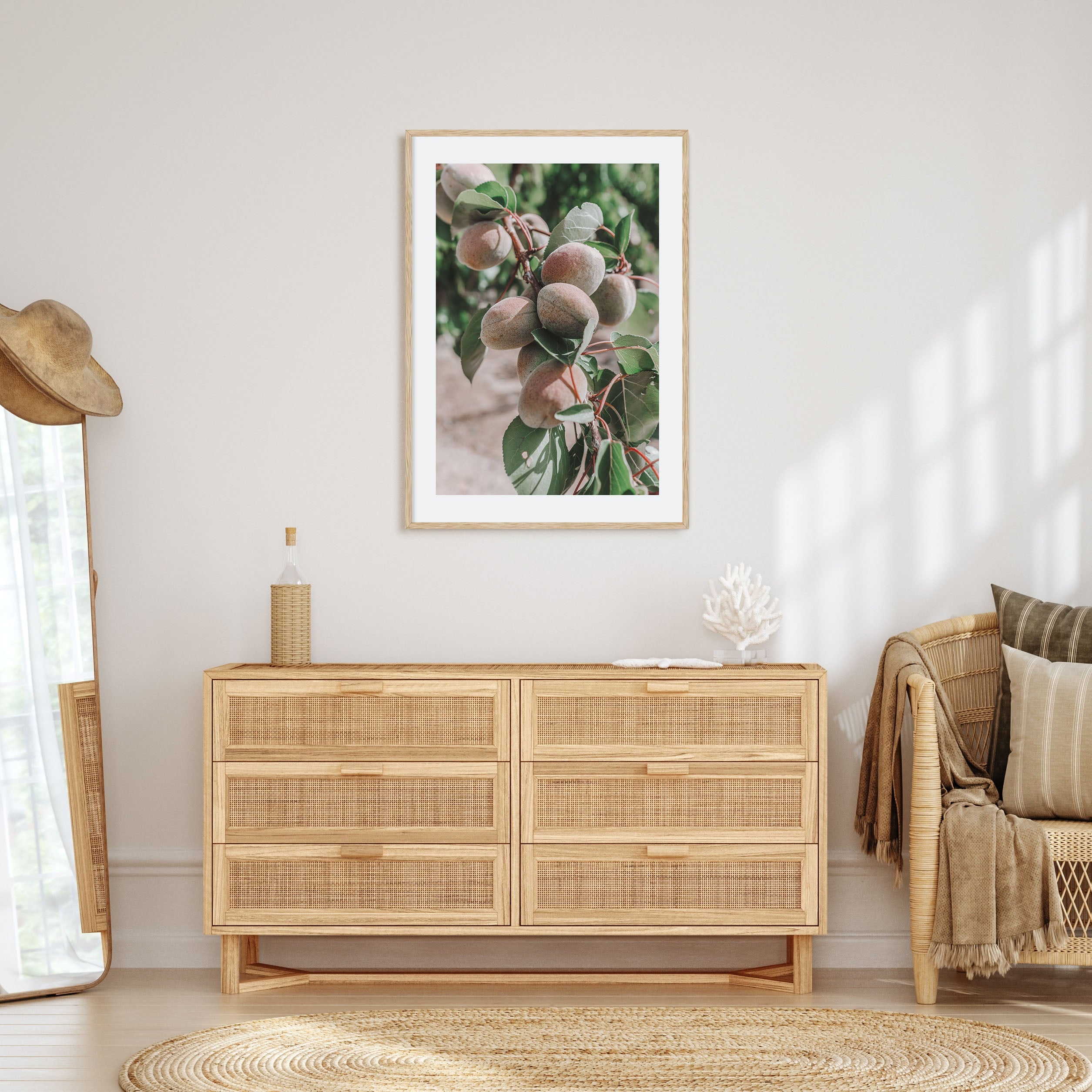 Green Apricots Tree Photo Color Poster